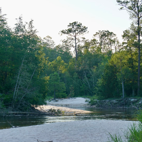 Blackwater River State Forest