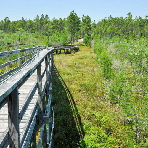 Coastal Loop to Big Bend to Nature Coast