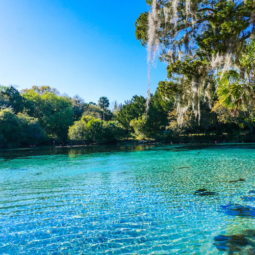 Ocala National Forest