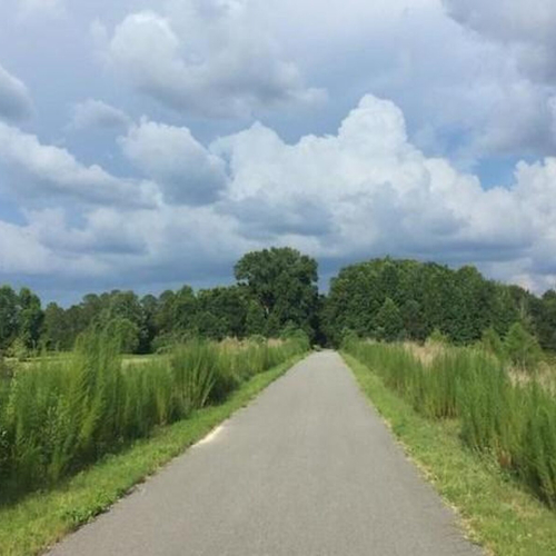 Palatka-to-Lake Butler State Trail