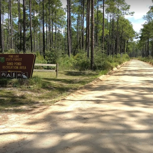 Pine Log State Forest