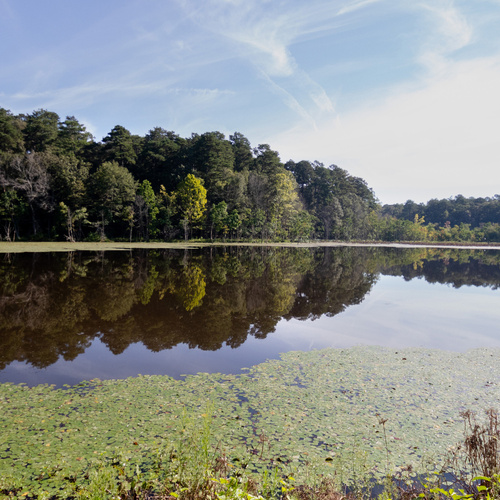 Roosevelt State Park