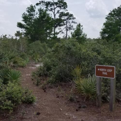 Seabranch Preserve State Park