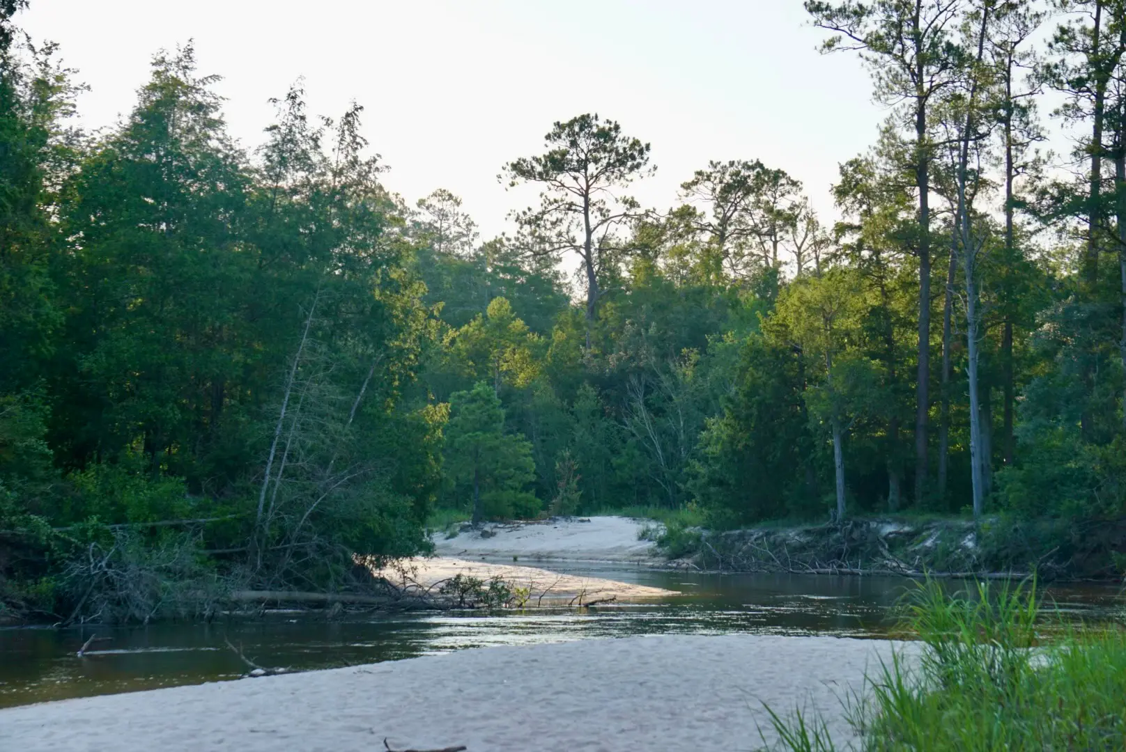 Blackwater River State Forest