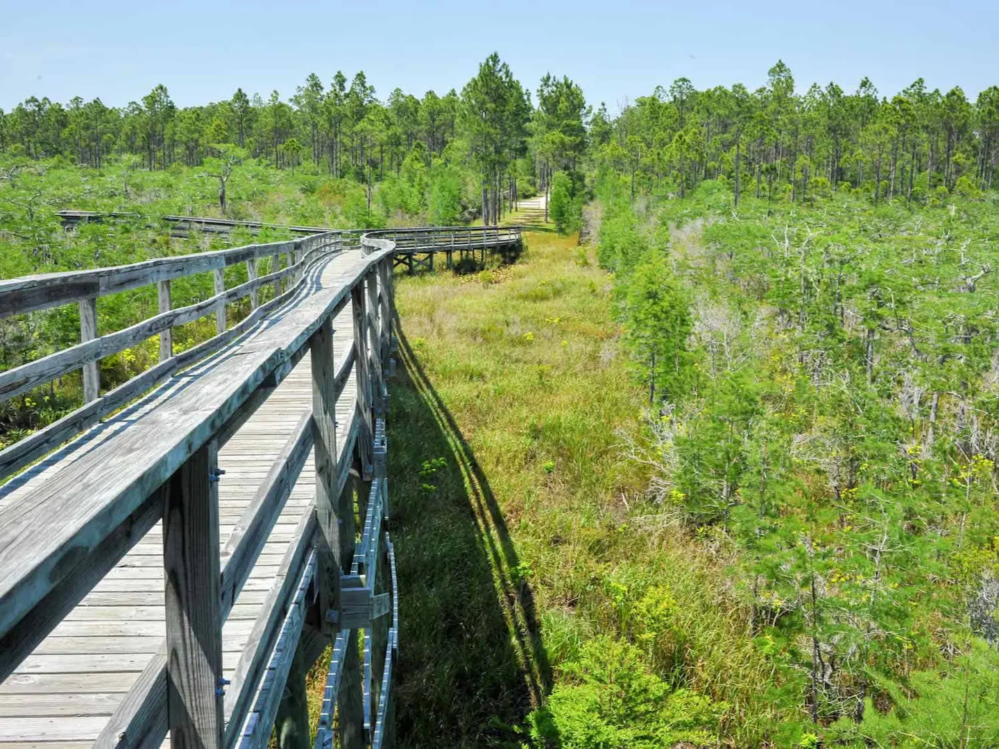 Coastal Loop to Big Bend to Nature Coast