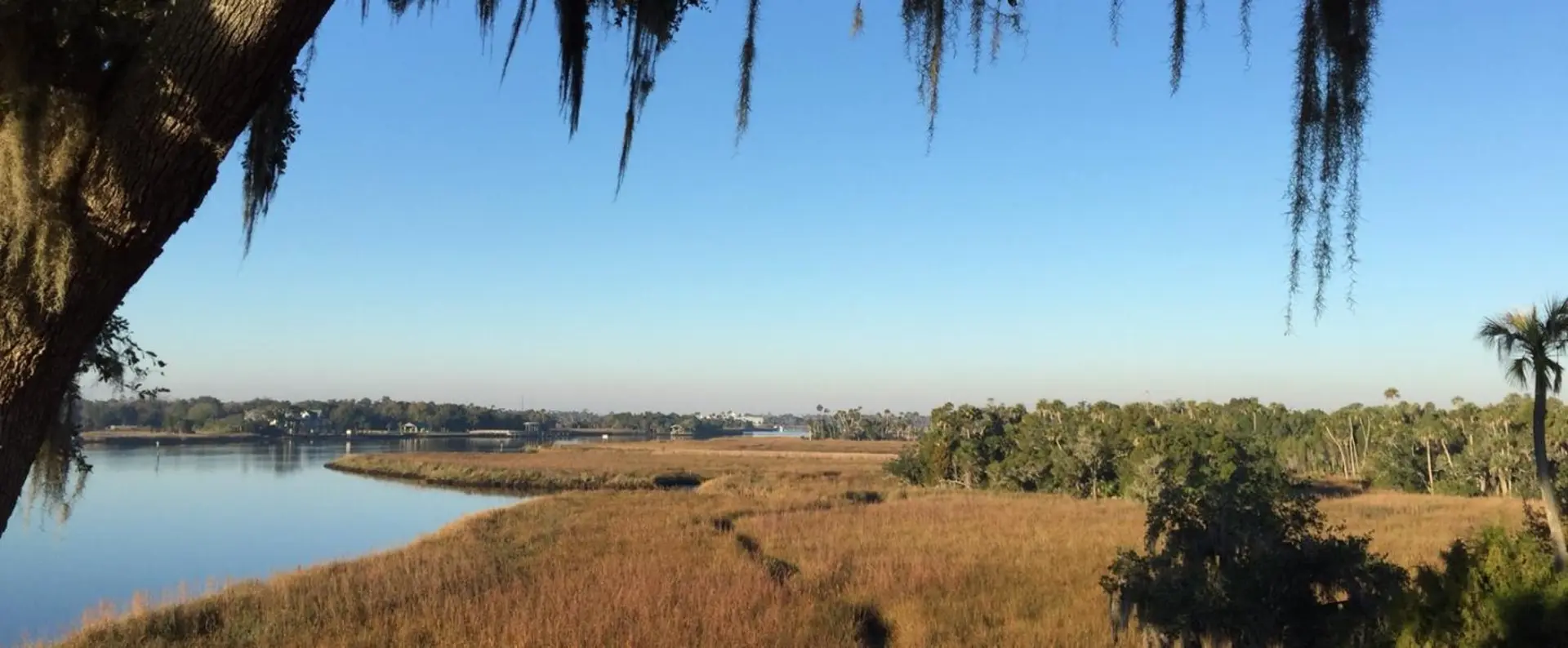Crystal River Preserve State Park