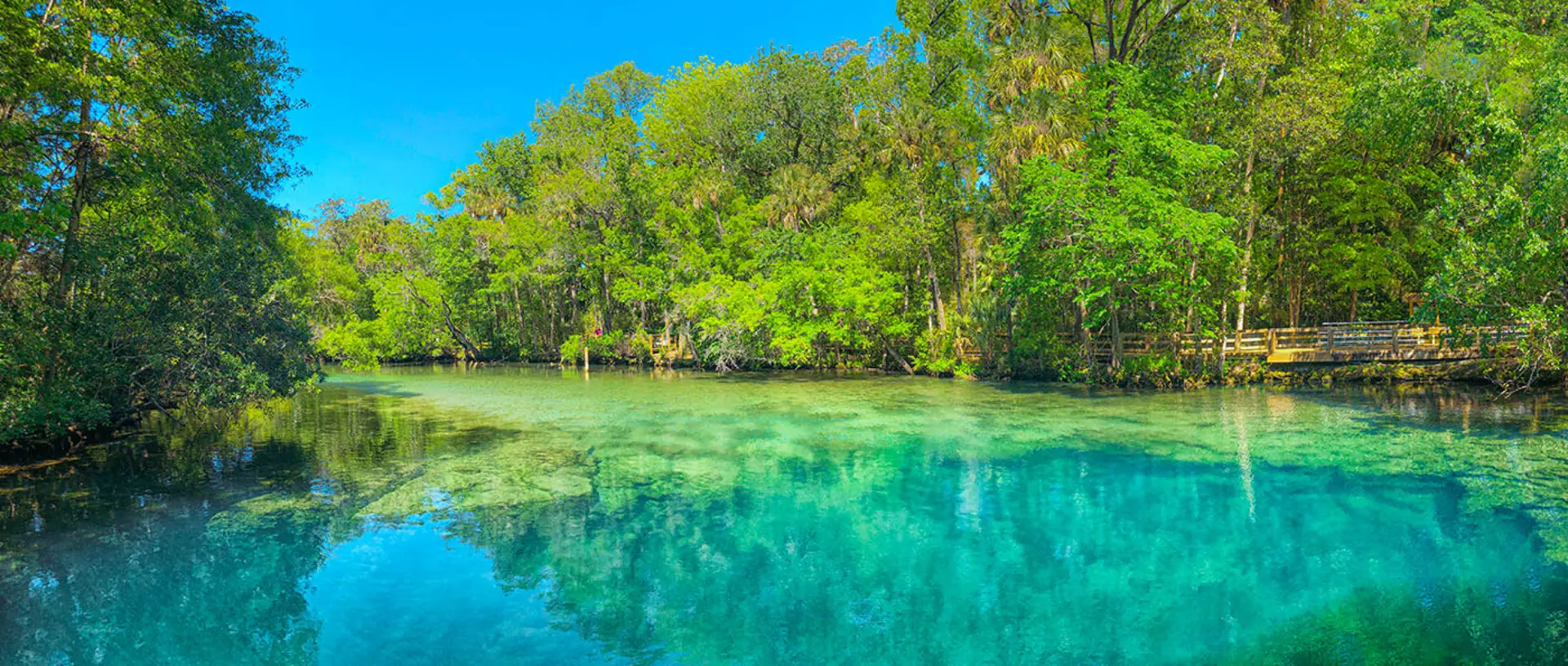 Ellie Schiller Homosassa Springs Wildlife State Park