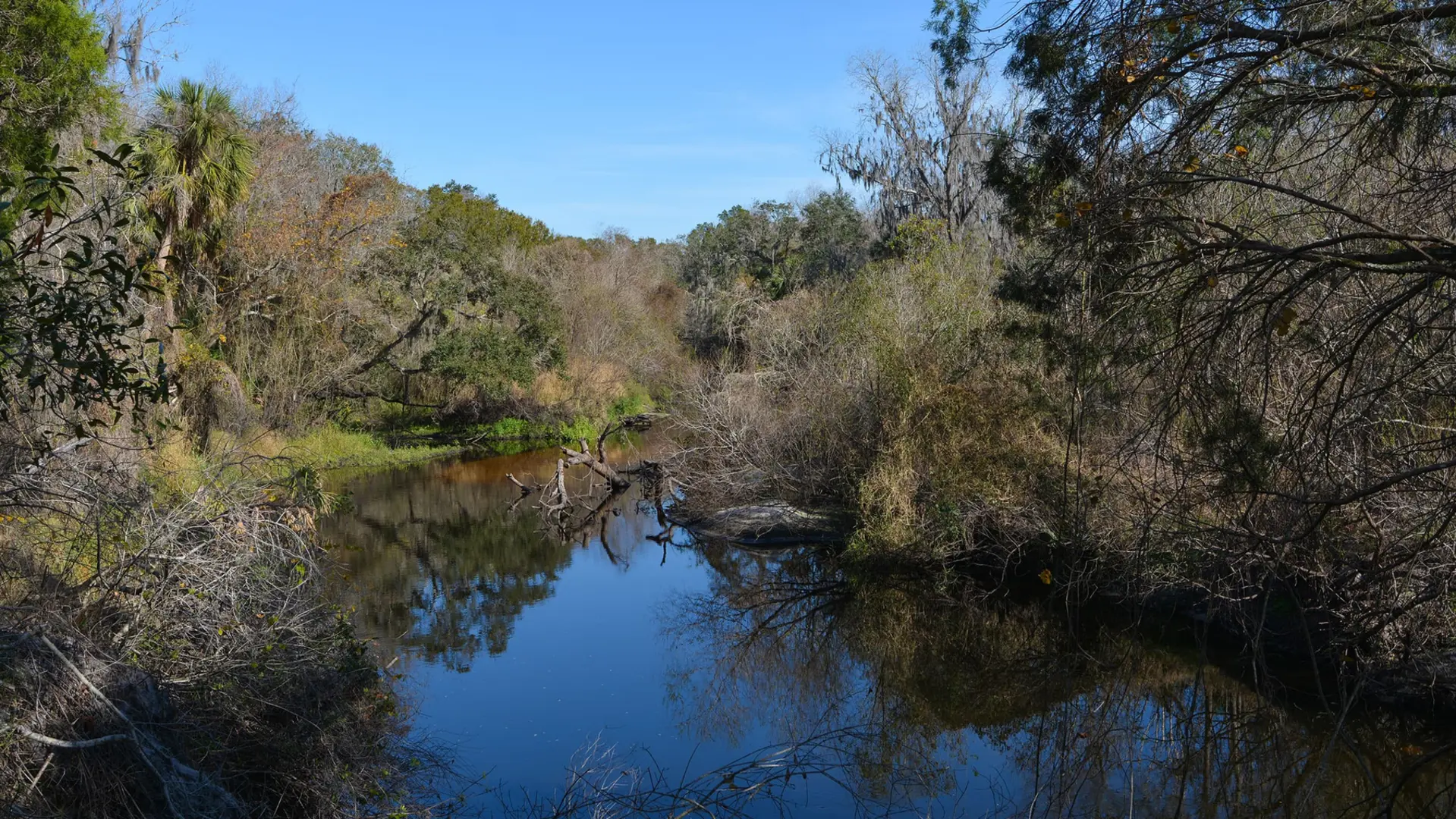 Lake Manatee State Park