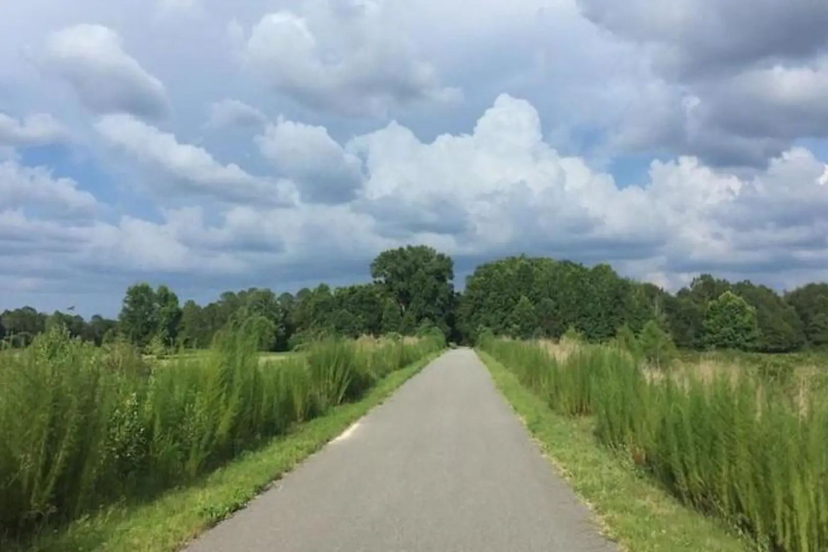 Palatka-to-Lake Butler State Trail