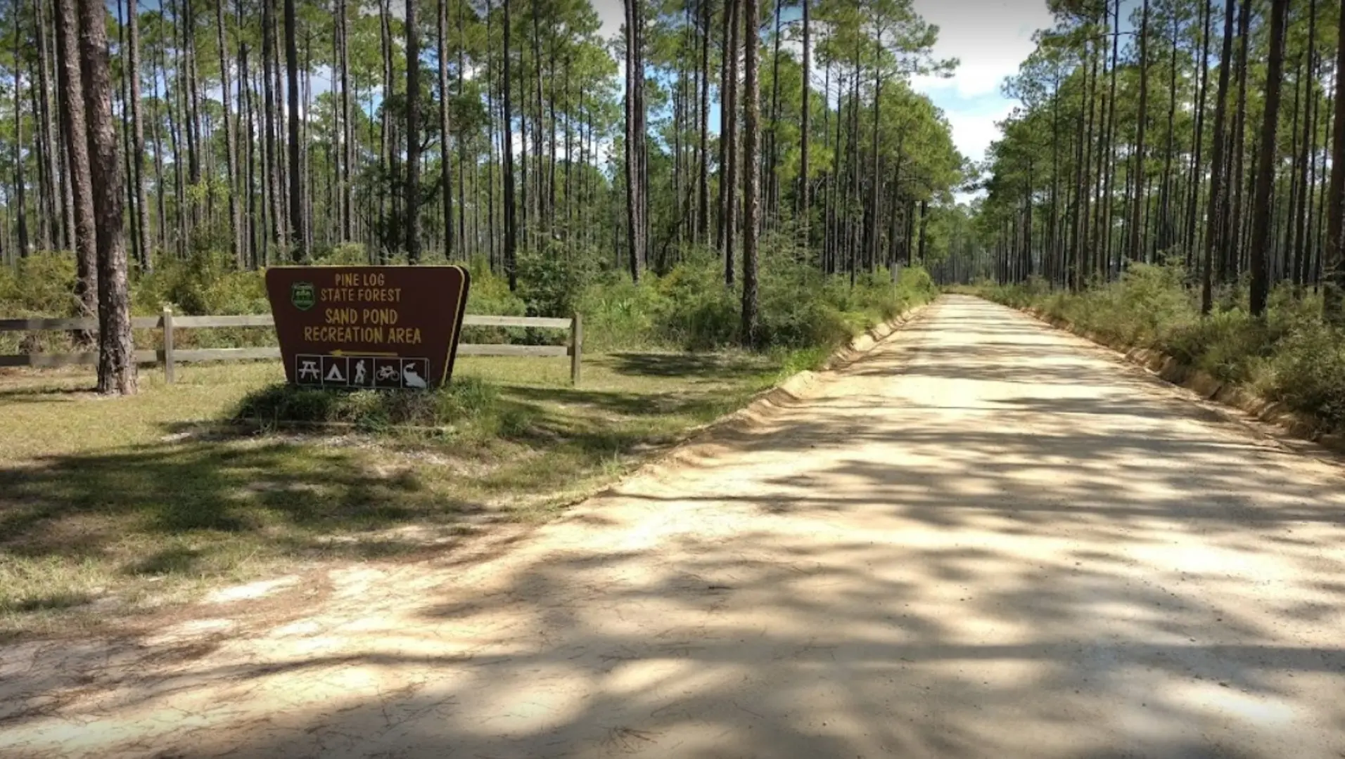 Pine Log State Forest
