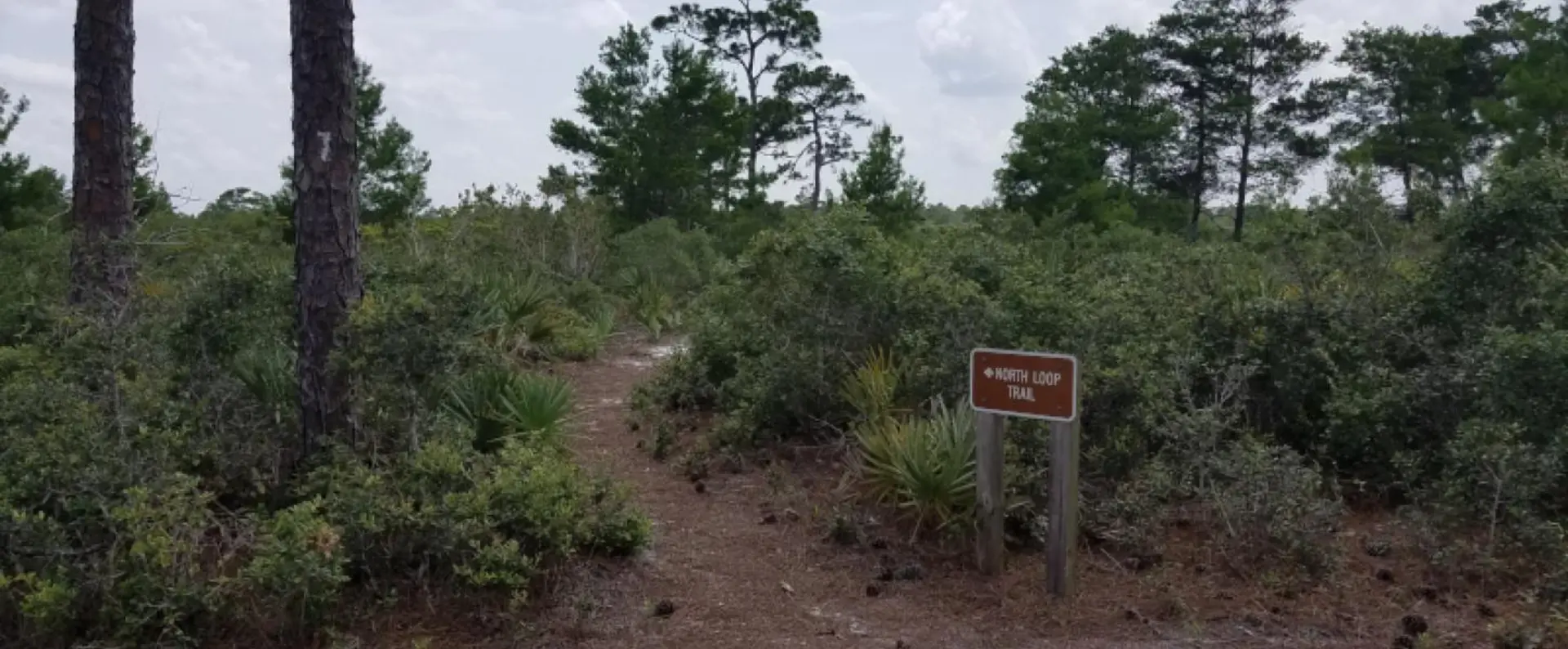 Seabranch Preserve State Park